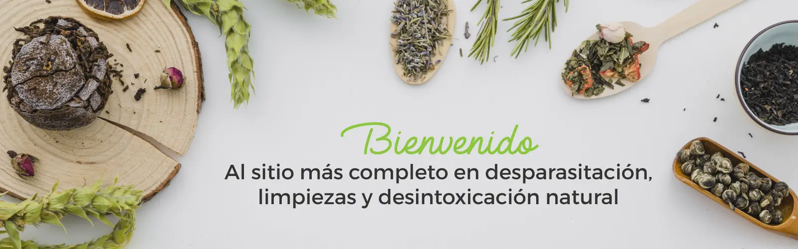 Bienvenido al sitio más completo en desparasitación, limpiezas y desintoxicación natural