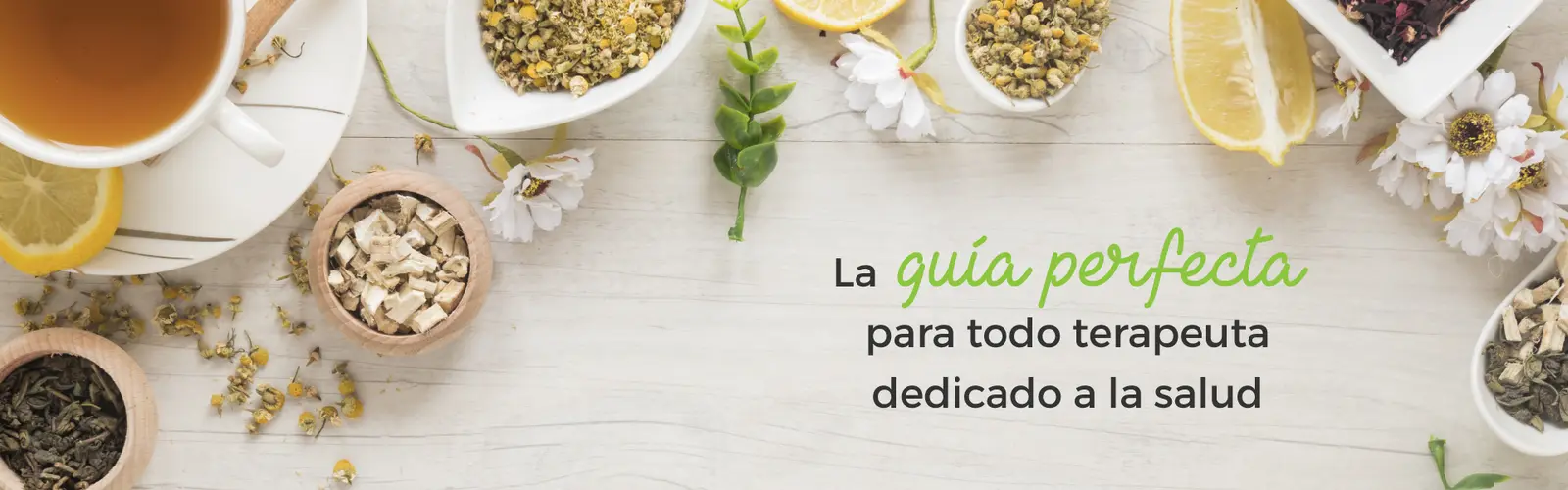 La guía perfecta para todo terapeuta dedicado a la salud